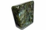 Flashy Free-Standing Polished Labradorite - Madagascar #372811-1